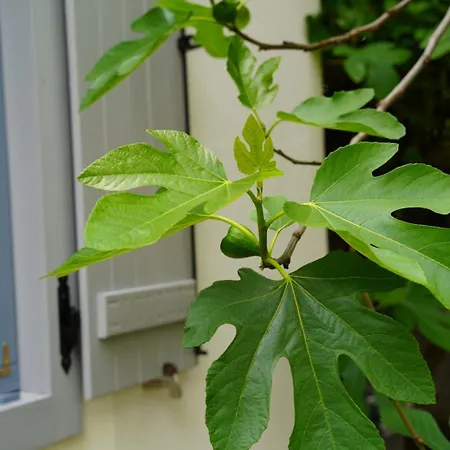 A La Maison - épp Mint Otthon Сasa de vacaciones *