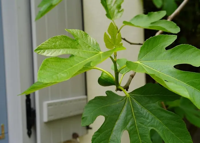 A La Maison - Epp Mint Otthon Semesterbostad *